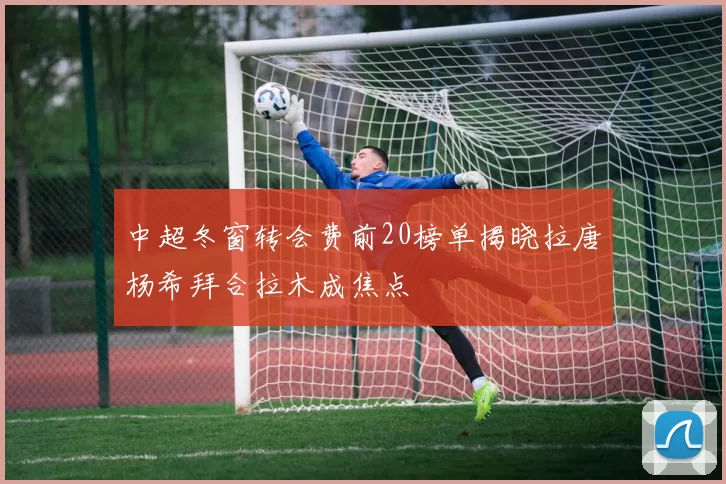 中超冬窗转会费前20榜单揭晓拉唐杨希拜合拉木成焦点