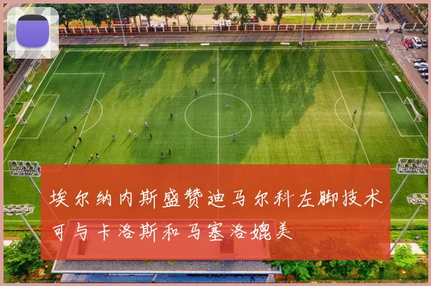 埃尔纳内斯盛赞迪马尔科左脚技术可与卡洛斯和马塞洛媲美