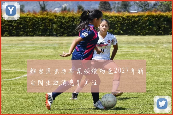 维尔贝克与布莱顿续约至2027年新合同生效消息引关注